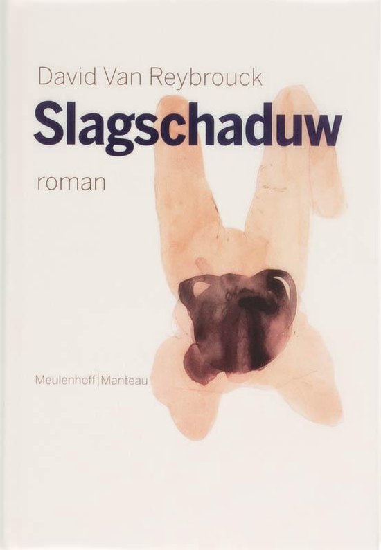 Cover van het boek 'Slagschaduw'
