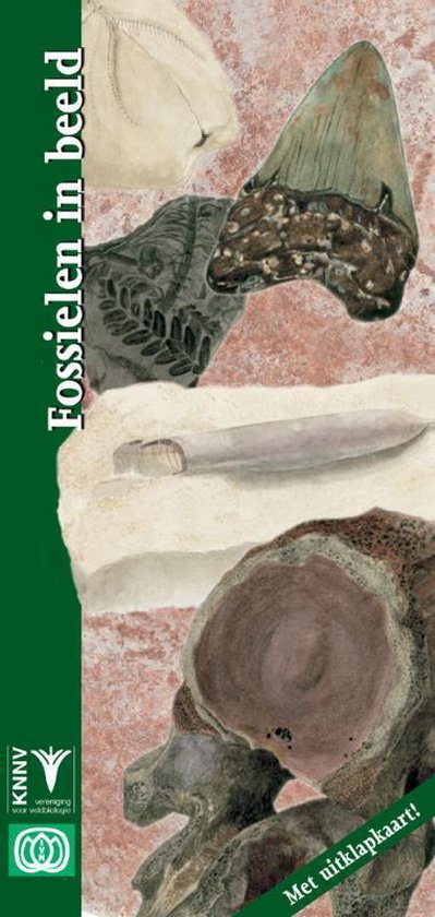 Cover van het boek 'Fossielen in beeld' van S. Renkens