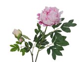 Europalms Pioenroos Premium, roze, 100cm - Kunstbloem