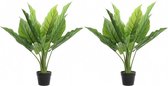 2x Groene waterplanten kunstplanten 74 cm in zwarte pot - Kunstplanten/nepplanten