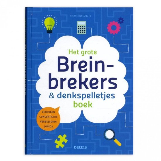 Het grote breinbrekers-en denkspelletjesboek - Pierre Berloquin | Respetofundacion.org