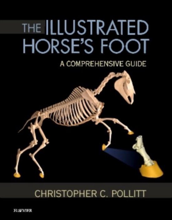 Illustrated Horses Foot - cover