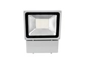 EUROLITE LED IP FL-100 6400K