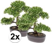 2x Groene kunst mini Bonsai boompje in pot 32 cm - Kunstplanten