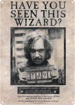 "Harry Potter ""Wanted Have You Seen This Wizard"" A3 Large Steel Sign"