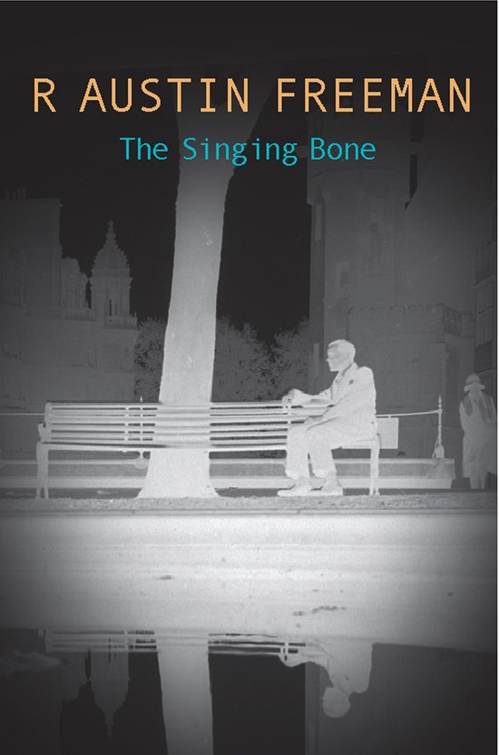 The Stoneware Monkey - cover