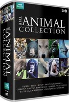 Bbc Earth; Animal Collection