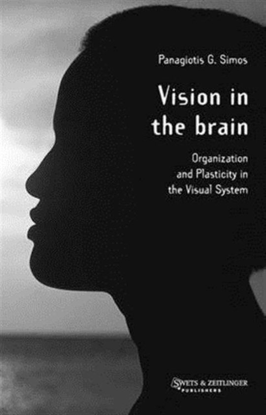 Vision in the Brain - cover