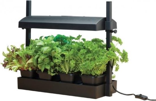 Foto: Groeilicht met kweekset zwart