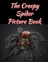 The Creepy Spider Picture Book 8.5 X 11