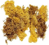Decoratie mos geel 50 gram - Hobby knutselen materialen herfst/kerst thema