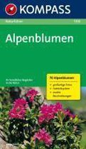 Alpenblumen / Alpenbloemen (Duits) NF1100