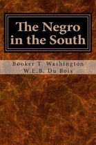 The Negro in the South