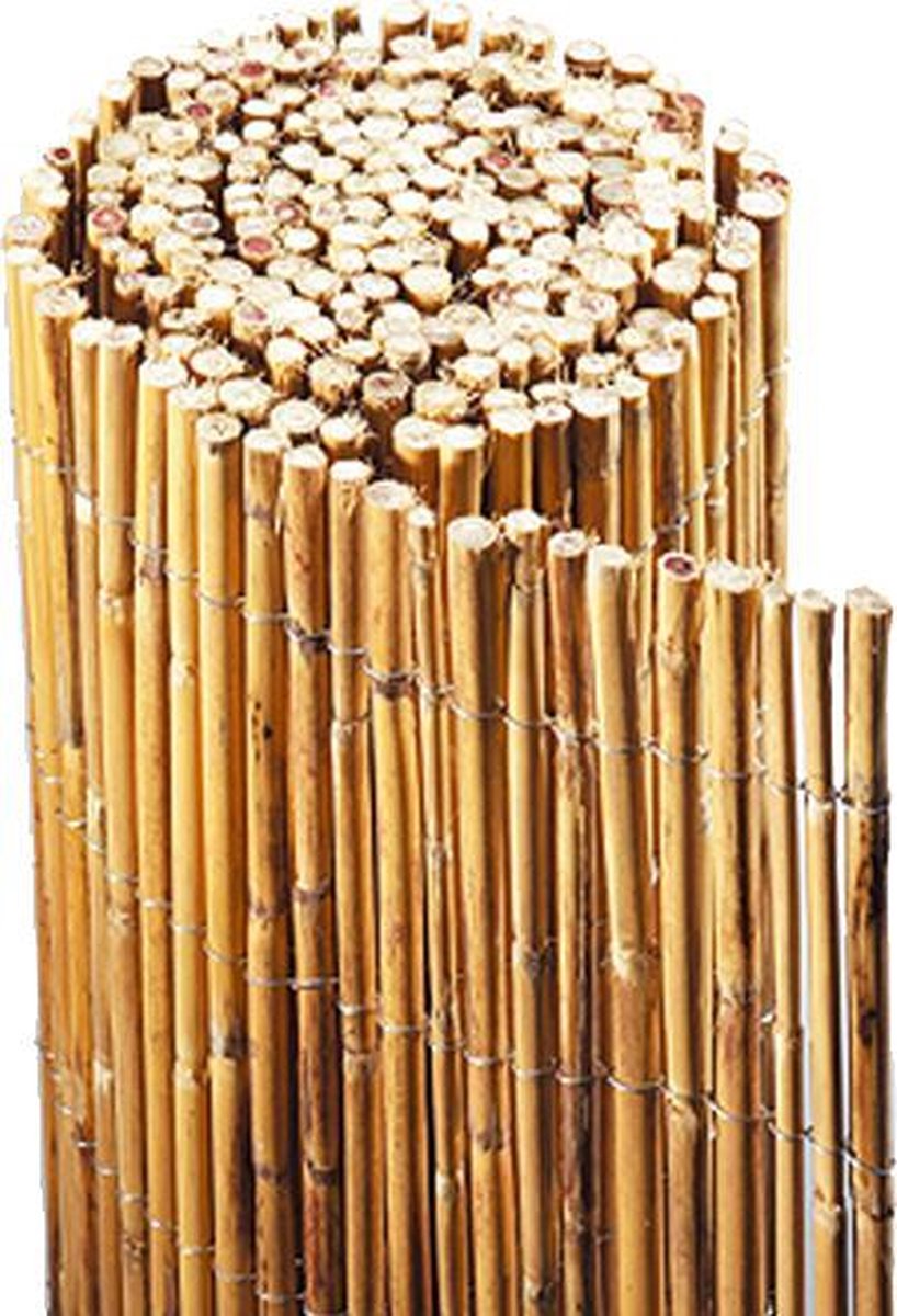 leren voetstappen Bedankt Volle bamboemat hoogte 150 cm lengte 300 cm - Tuinafscheiding | bol.com