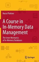 A Course in In-memory Data Management