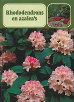 Rhododendrons en azalea s