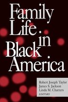 Family Life In Black America