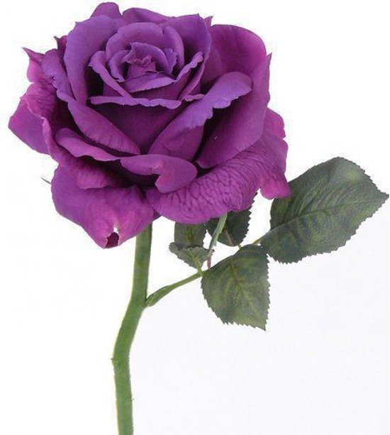 Fun & Feest Bloemen Paarse roos 31 cm | bol.com