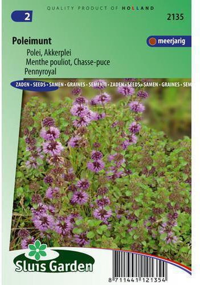 Sluis Garden - Poleimunt (Mentha pulegium)