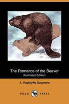 The Romance of the Beaver