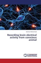 Recording Brain Electrical Activity from Conscious Animal