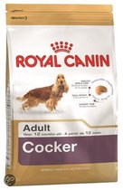ROYAL CANIN Droogvoer Royal canin cocker adult 4kg