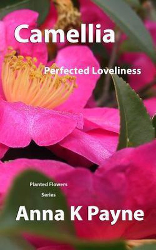 Planted Flowers Christian Suspense- Camellia - cover