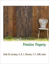 Primitive Property