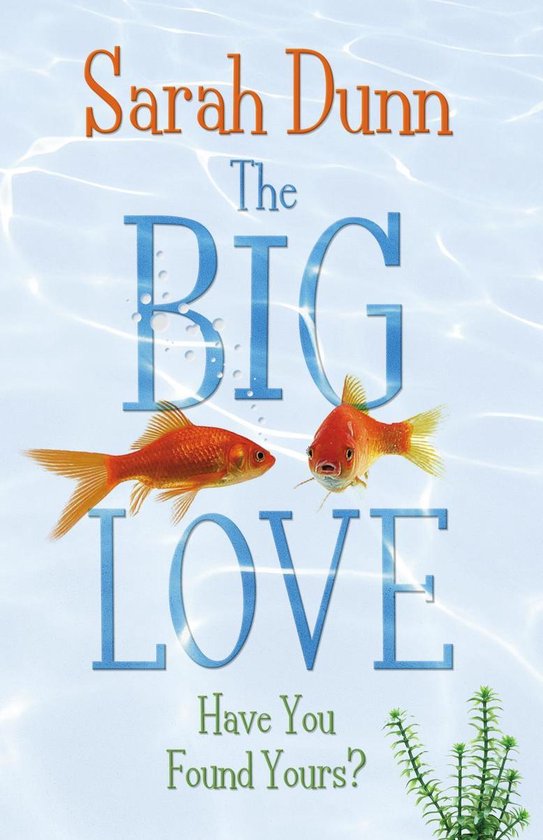 The Big Love - cover