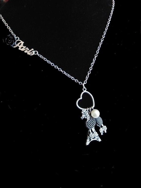 Elegant cadeau, leuke lange ketting met diverse bedels