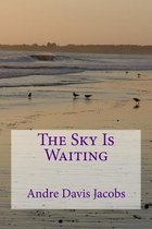 The Sky Is Waiting