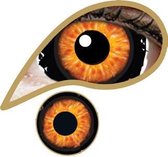 XtremeEyez - Mini Sclera Beast - 1 maand lenzen
