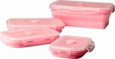 Kitchen Princess - Inklapbare Bento Lunch Box Set - Japanse Broodtrommel - Lunchtrommel - 4 Stuks