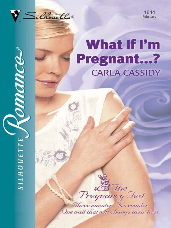 The Pregnancy Test 1 - What If I'm Pregnant...? - cover