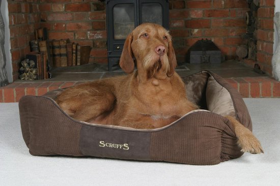 Scruffs Chester Box Bed - Hondenmand Zacht en Stevig - Anti-Slip - Wasbaar - Bruin - XL - Scruffs