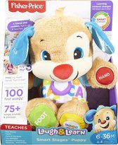 Fisher-Price FPM51 educatief speelgoed