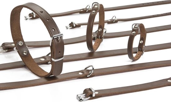 Beeztees - Halsband Hond - Leer - Bruin - 32-37 cm x 16 mm