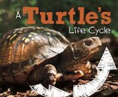 A Turtle's Life Cycle