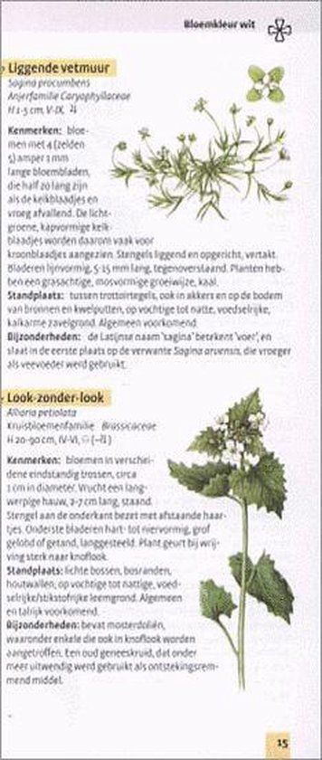 Cover van het boek 'Veldgids bloeiende planten'