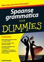 Spaanse grammatica voor Dummie