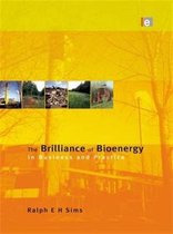 The Brilliance of Bioenergy