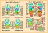 Hand and Foot Reflexology A4