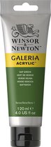 Winsor & Newton Galeria Acryl 120ml Sap Green