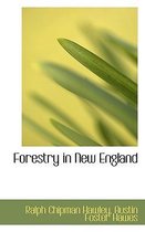 Forestry in New England