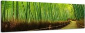 Bamboebos - Canvas Schilderij Panorama 158 x 46 cm