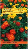 Tagetes, Afrikaan Bonita gemengd