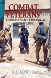 Combat Veterans' Stories- Combat Veterans' Stories of Small Wars and Nation Building