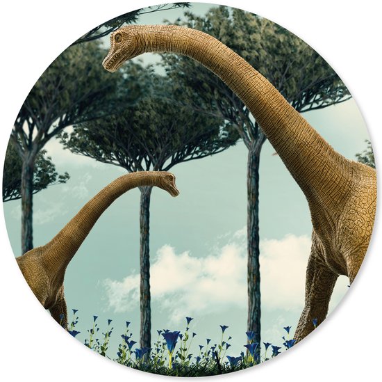 Dinosaurus grote Muursticker/Wandcirkel/Muurcirkel rond | dino brontosaurus | voor kinderkamer | wanddecoratie accessoires | jongens slaapkamer | cirkel afm. 80 x 80 cm