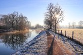 Poster, Een heldere winterochtend langs het Jaagpad langs de Kromme Rijn op Landgoed Amelisweerd bij Utrecht, kleur, 60x40, gedrukt op prachtig en duurzaam offset papier met ECO-la