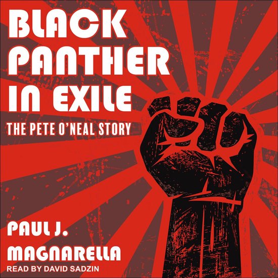 Black Panther in Exile - cover